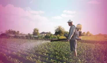 Person spraying crops in a field with a backpack sprayer on a sunny day.